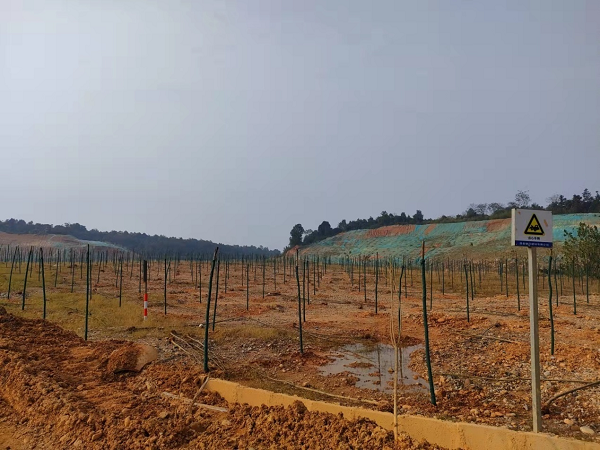 澧縣土地資源,澧縣公共基礎(chǔ)設(shè)施,澧縣工商業(yè)信息咨詢(xún),澧縣澧州實(shí)業(yè)發(fā)展有限公司