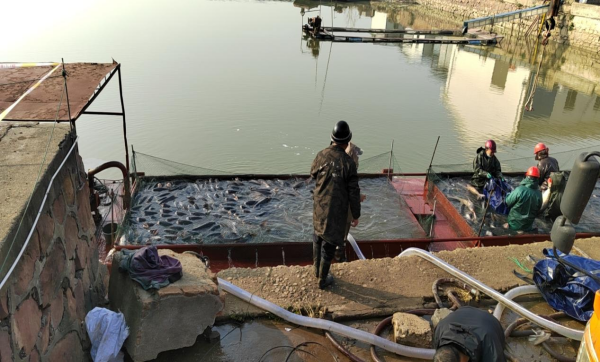 澧縣土地資源,澧縣公共基礎(chǔ)設(shè)施,澧縣工商業(yè)信息咨詢(xún),澧縣澧州實(shí)業(yè)發(fā)展有限公司